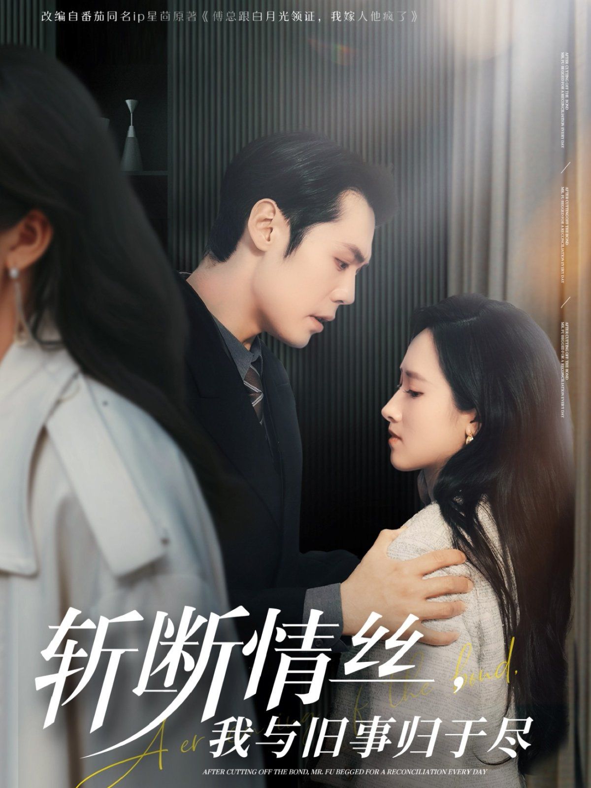 斩断情丝我与旧事归于尽海报